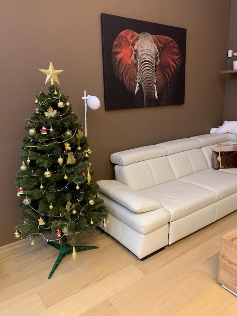 Apartment Dagmar Buresove Πράγα Εξωτερικό φωτογραφία